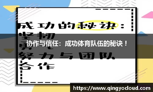 NBA直播在线高清直播